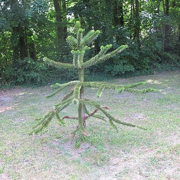 Château dAzay-le-Ferron