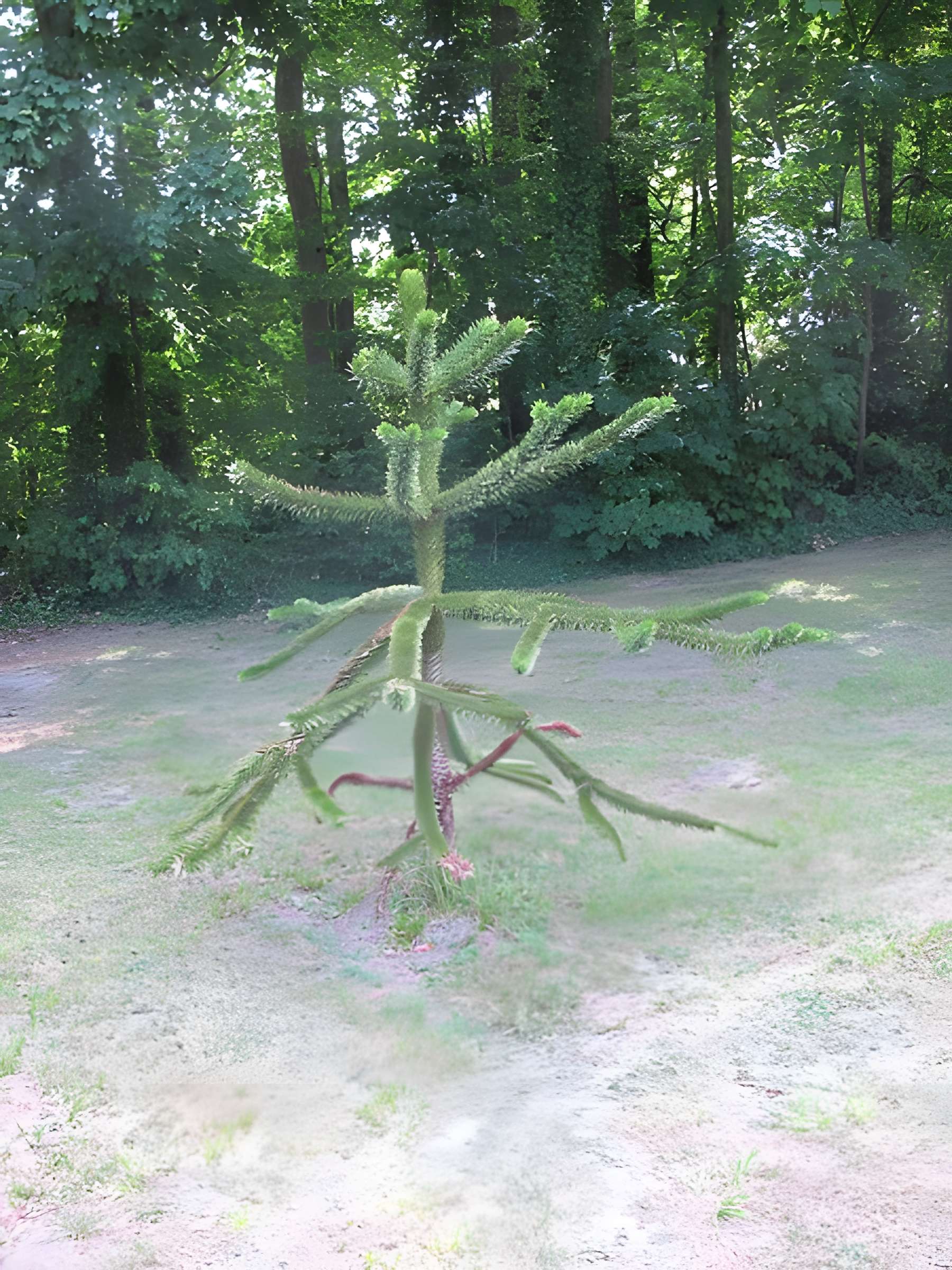 Château d'Azay-le-Ferron