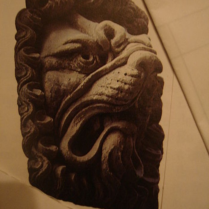 Photo de Maison aux Lions à Lyon