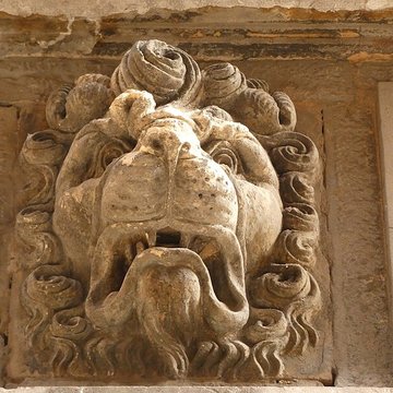 Maison aux Lions à Lyon 