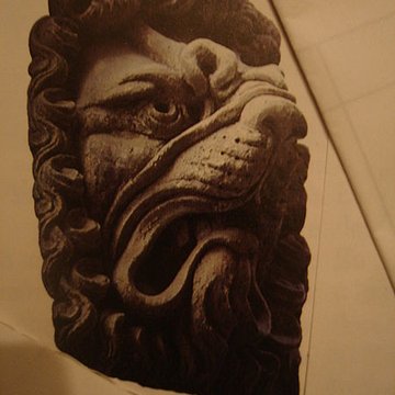 Maison aux Lions à Lyon 