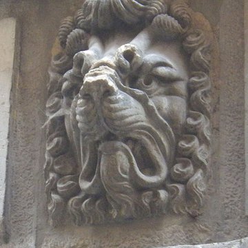 Maison aux Lions à Lyon 