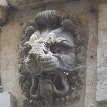 Maison aux Lions à Lyon 