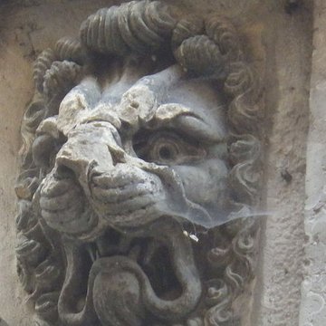 Maison aux Lions à Lyon 