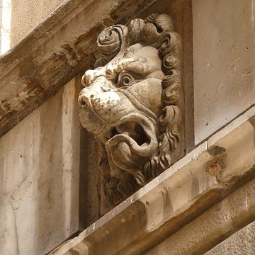 Maison aux Lions à Lyon 