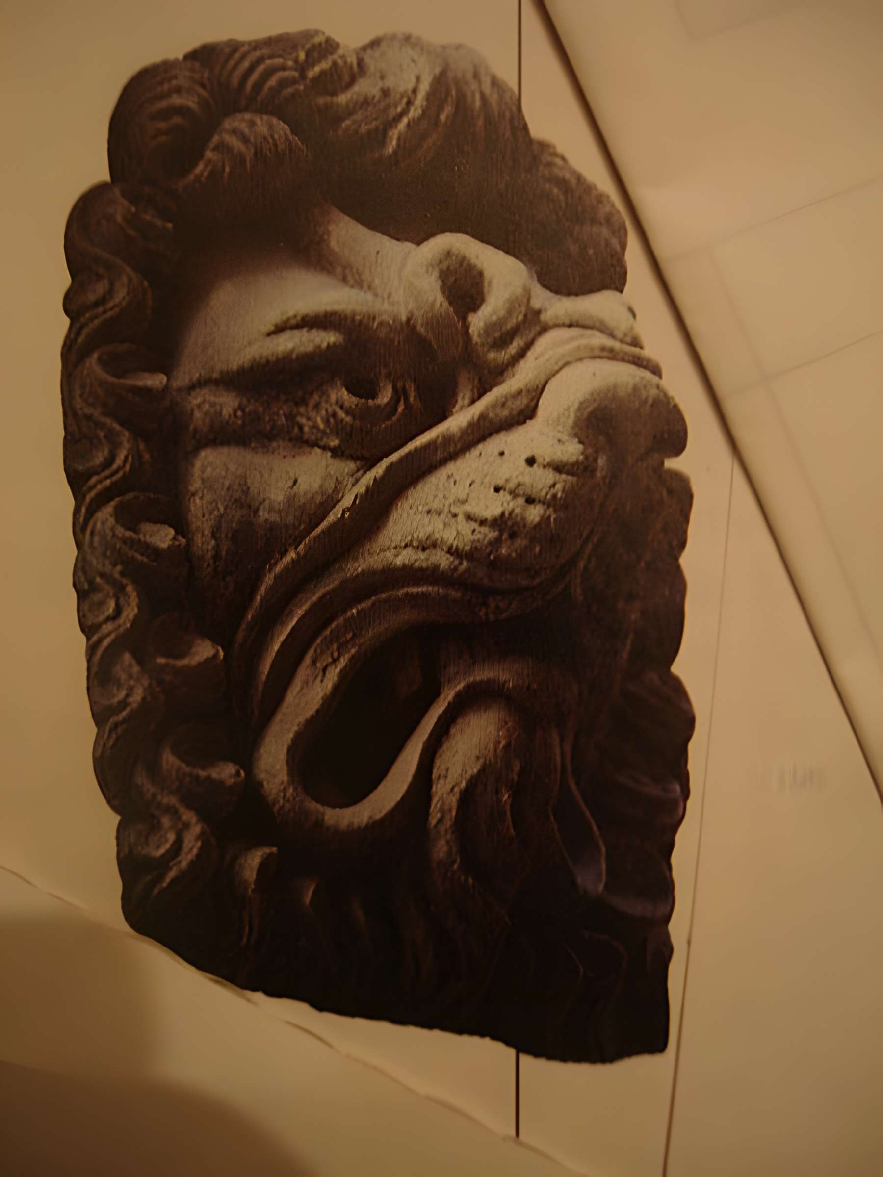 Maison aux Lions à Lyon 