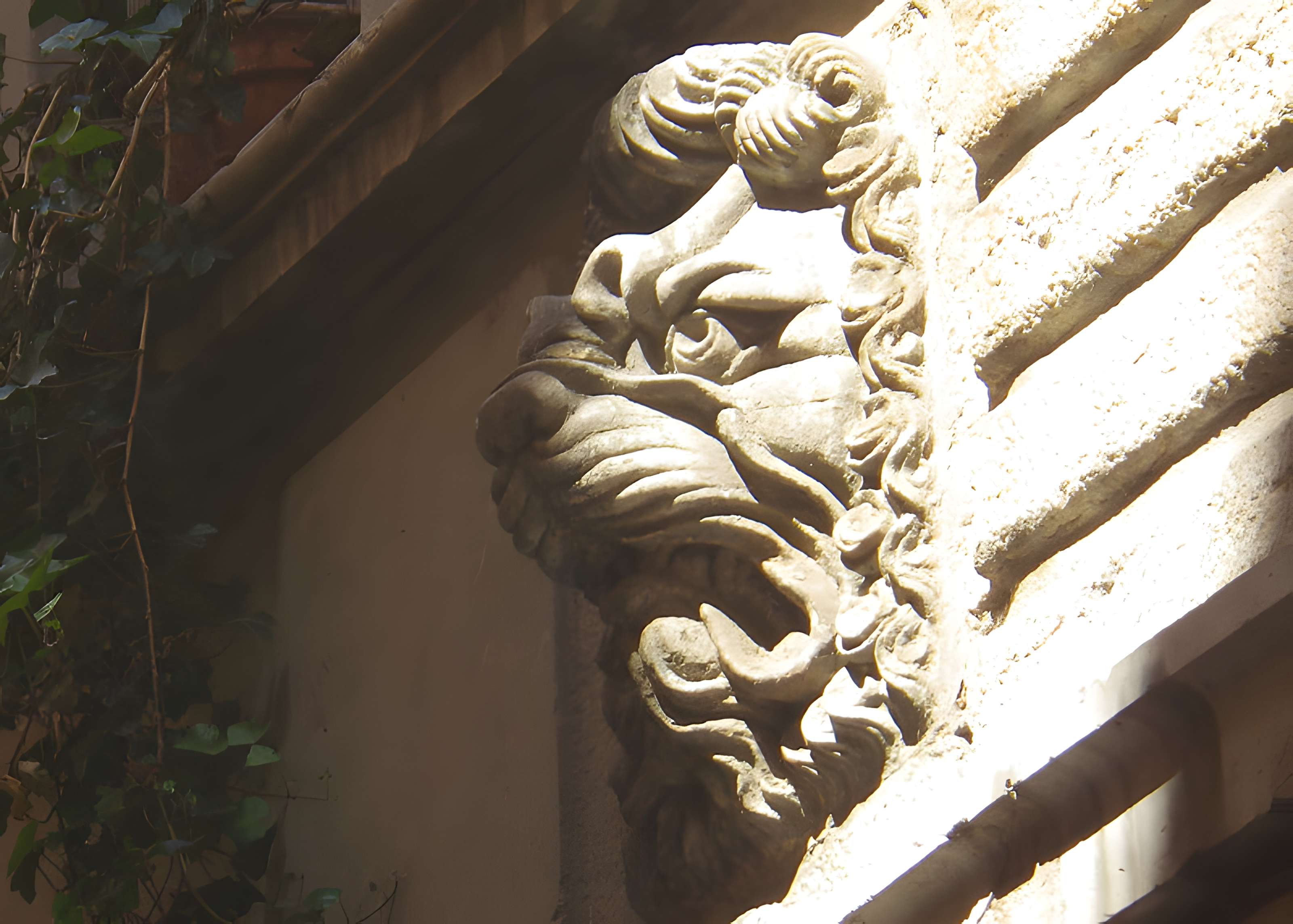 Maison aux Lions à Lyon 