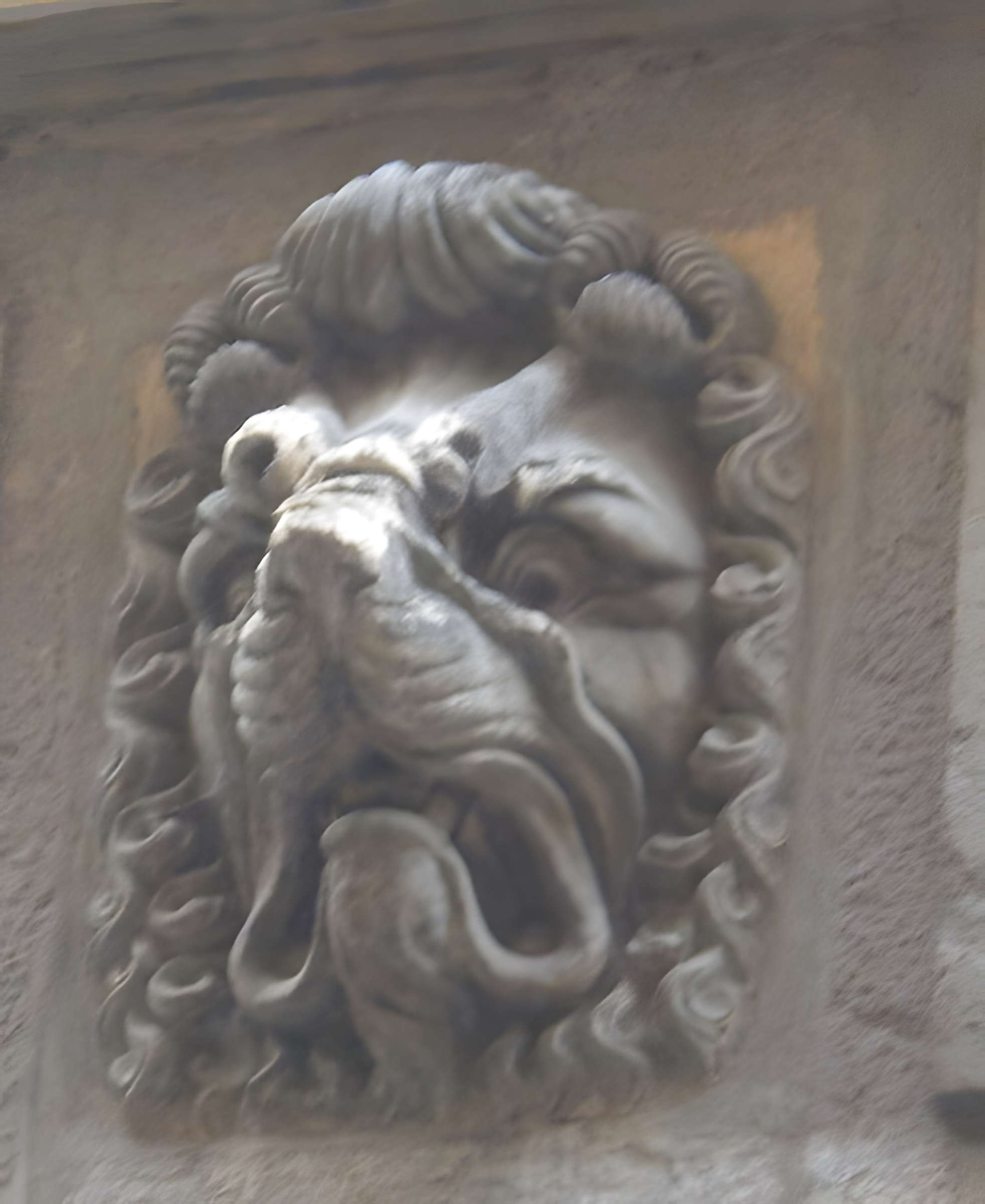 Maison aux Lions à Lyon 