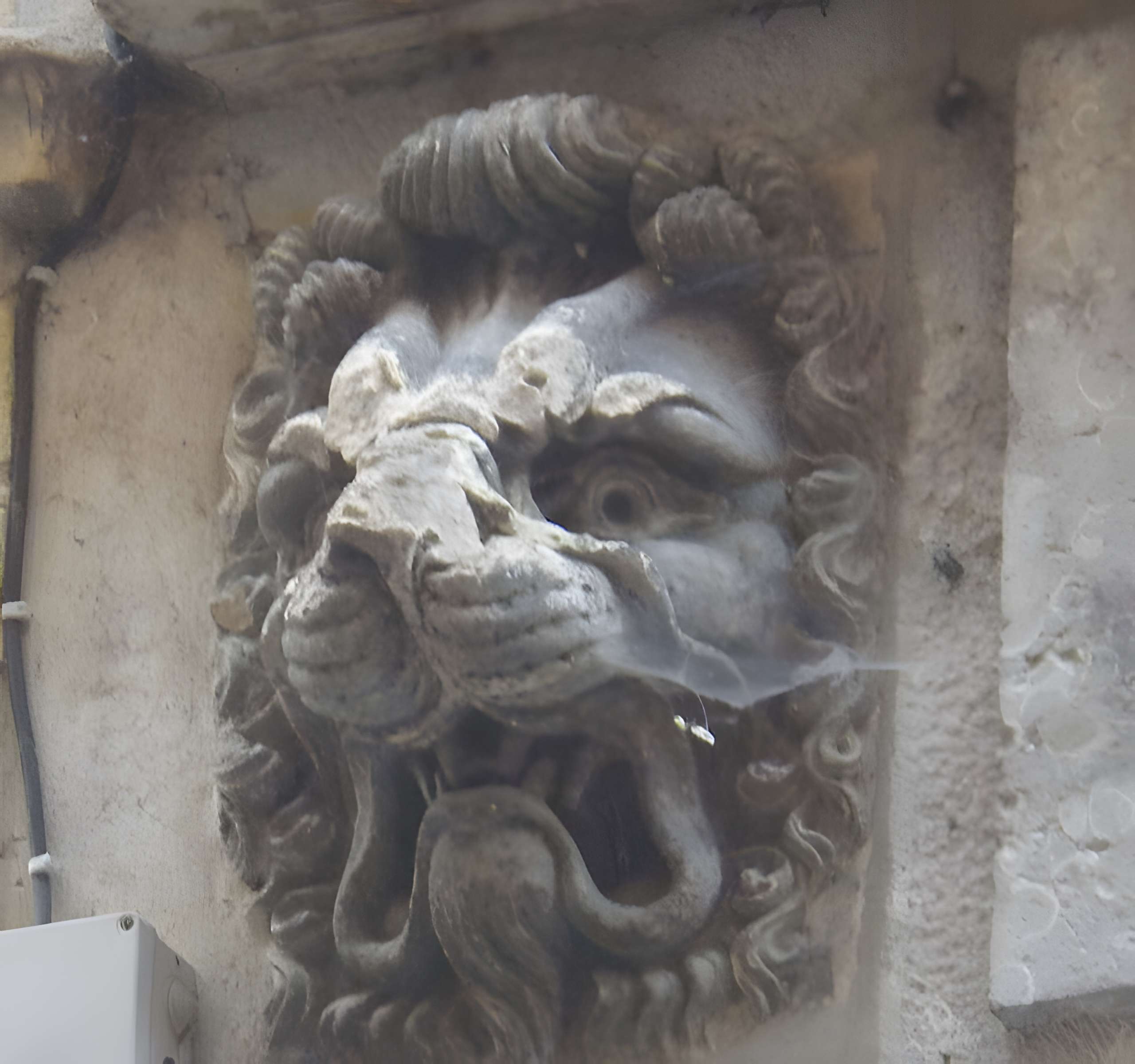 Maison aux Lions à Lyon 