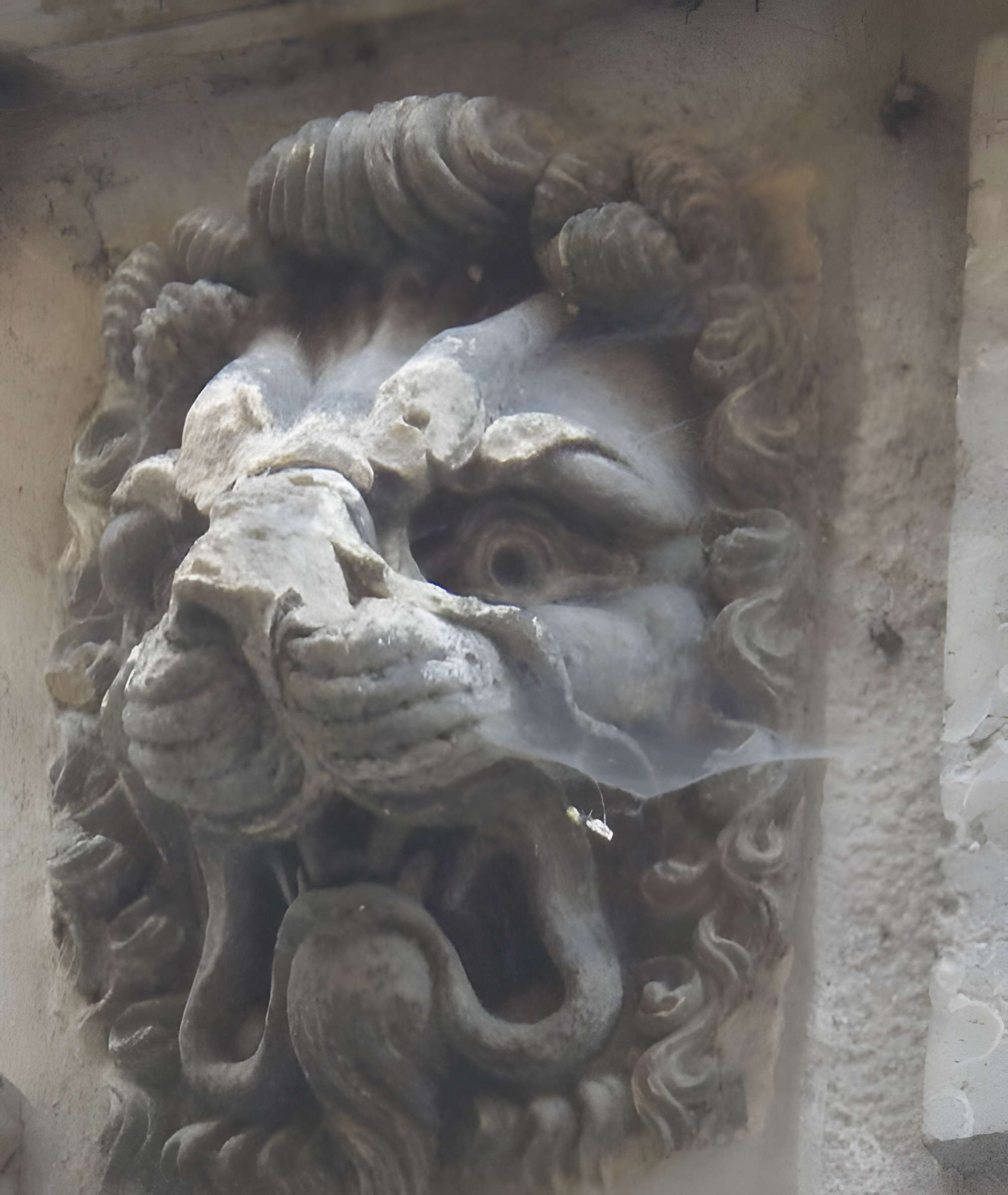 Maison aux Lions à Lyon 