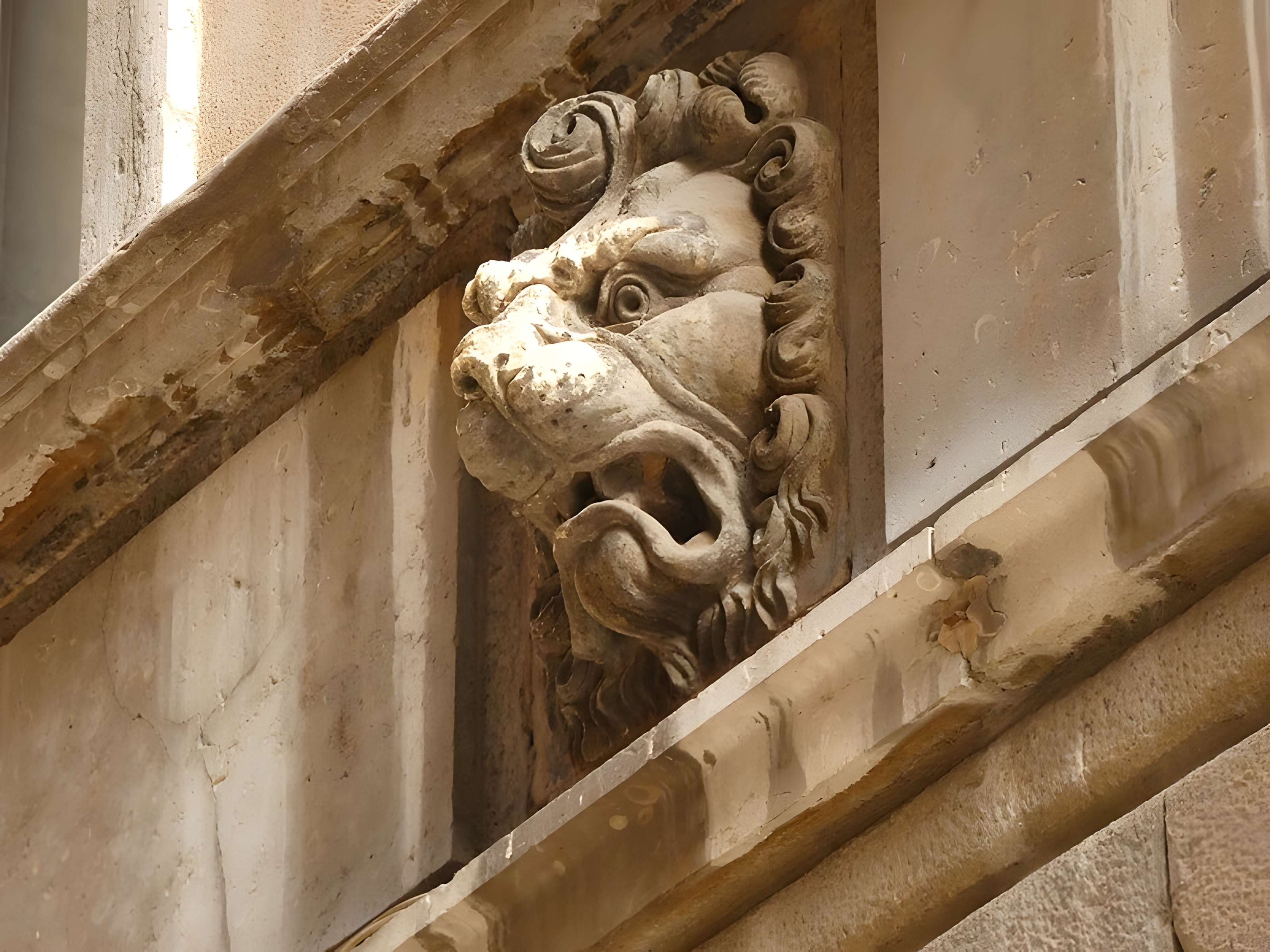Maison aux Lions à Lyon 