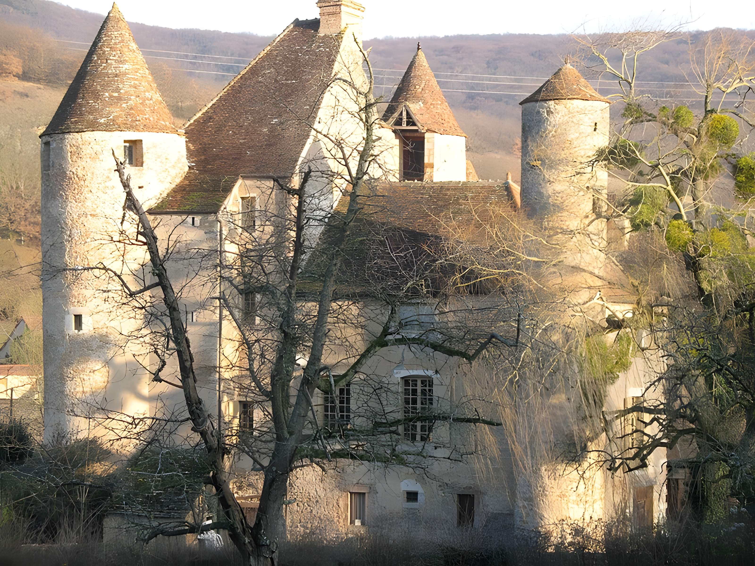 Château de Balleure