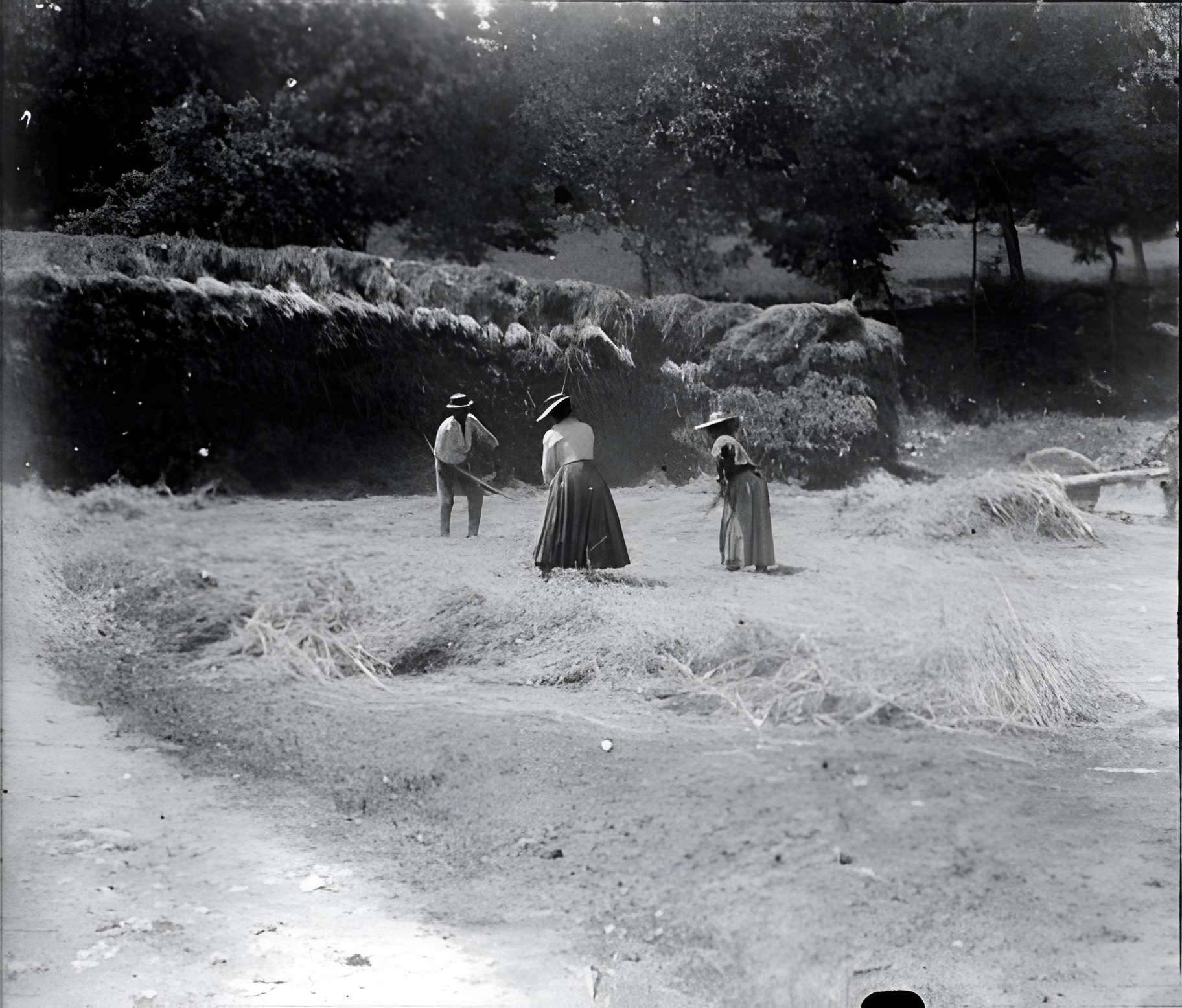 Abbaye de Beaulieu-en-Rouergue