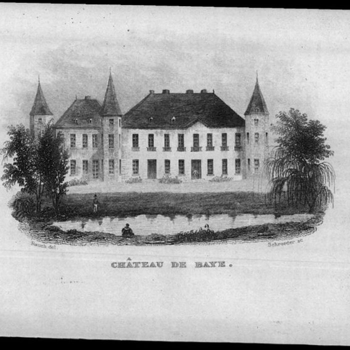 Photo de Château de Baye