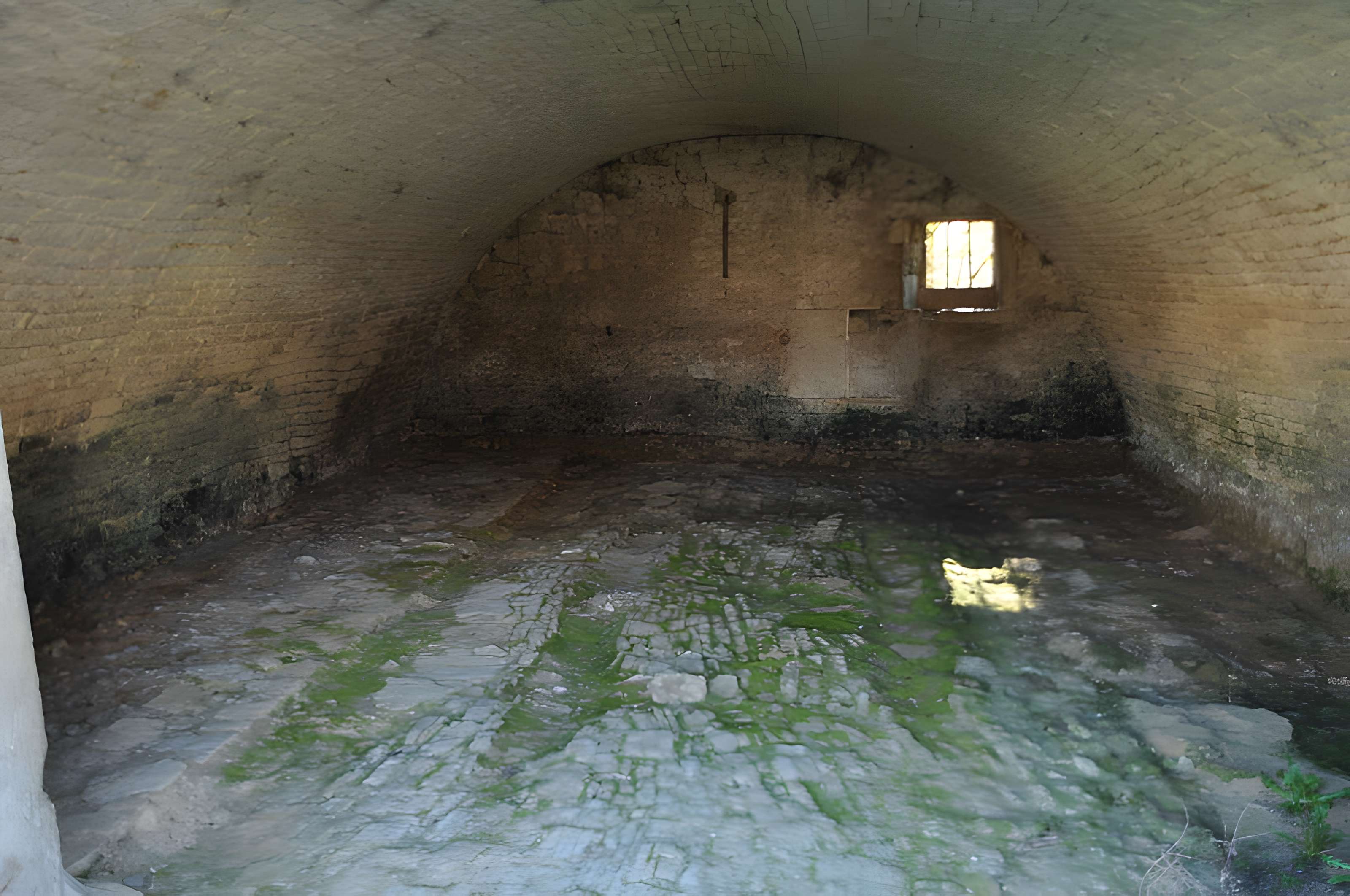 Maison de vigneron à Chevigney