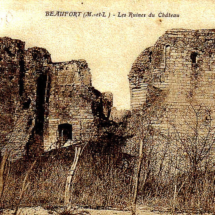 Photo de Château de Beaufort-en-Vallée ruines