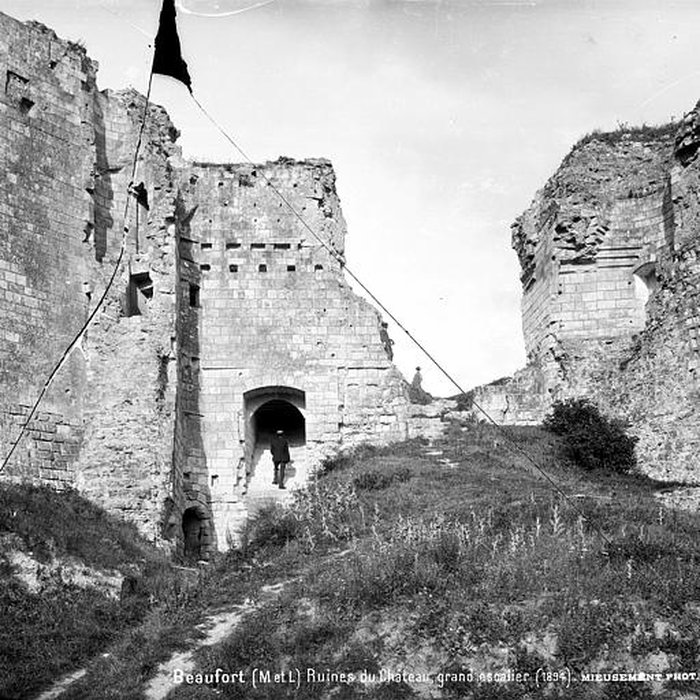 Photo de Château de Beaufort-en-Vallée ruines