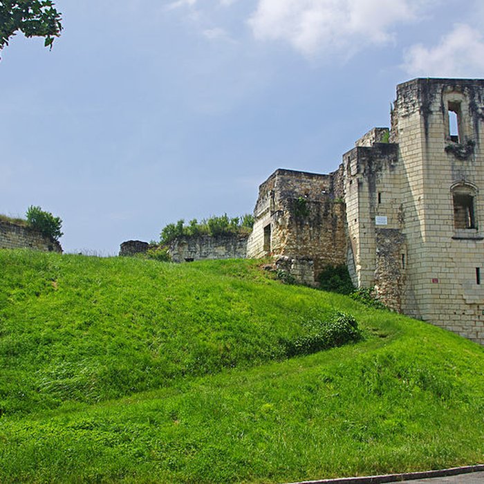 Photo de Château de Beaufort-en-Vallée ruines