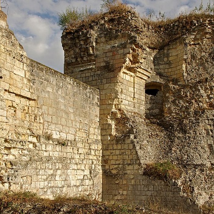 Photo de Château de Beaufort-en-Vallée ruines