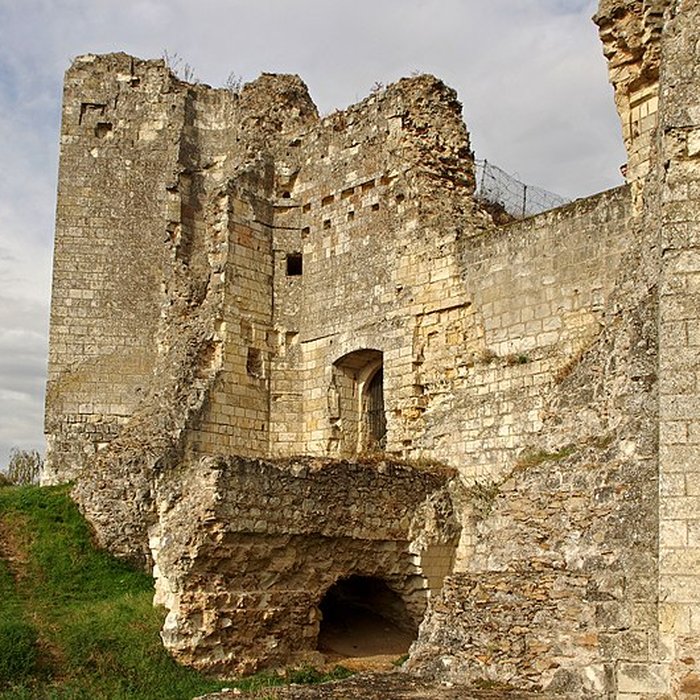 Photo de Château de Beaufort-en-Vallée ruines