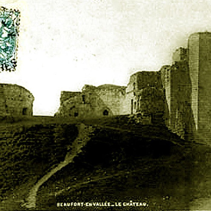 Photo de Château de Beaufort-en-Vallée ruines