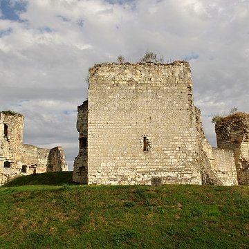 Château de Beaufort-en-Vallée ruines