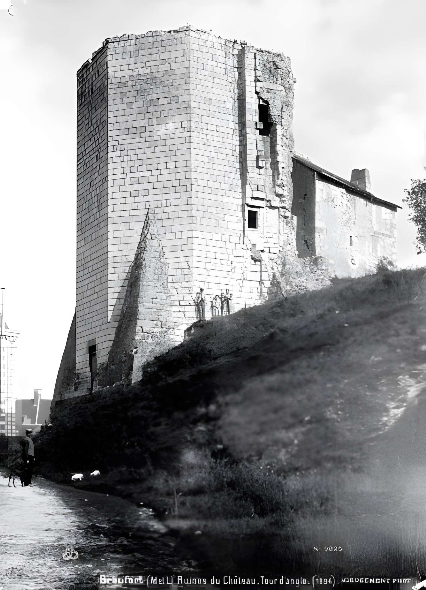 Château de Beaufort-en-Vallée (ruines)