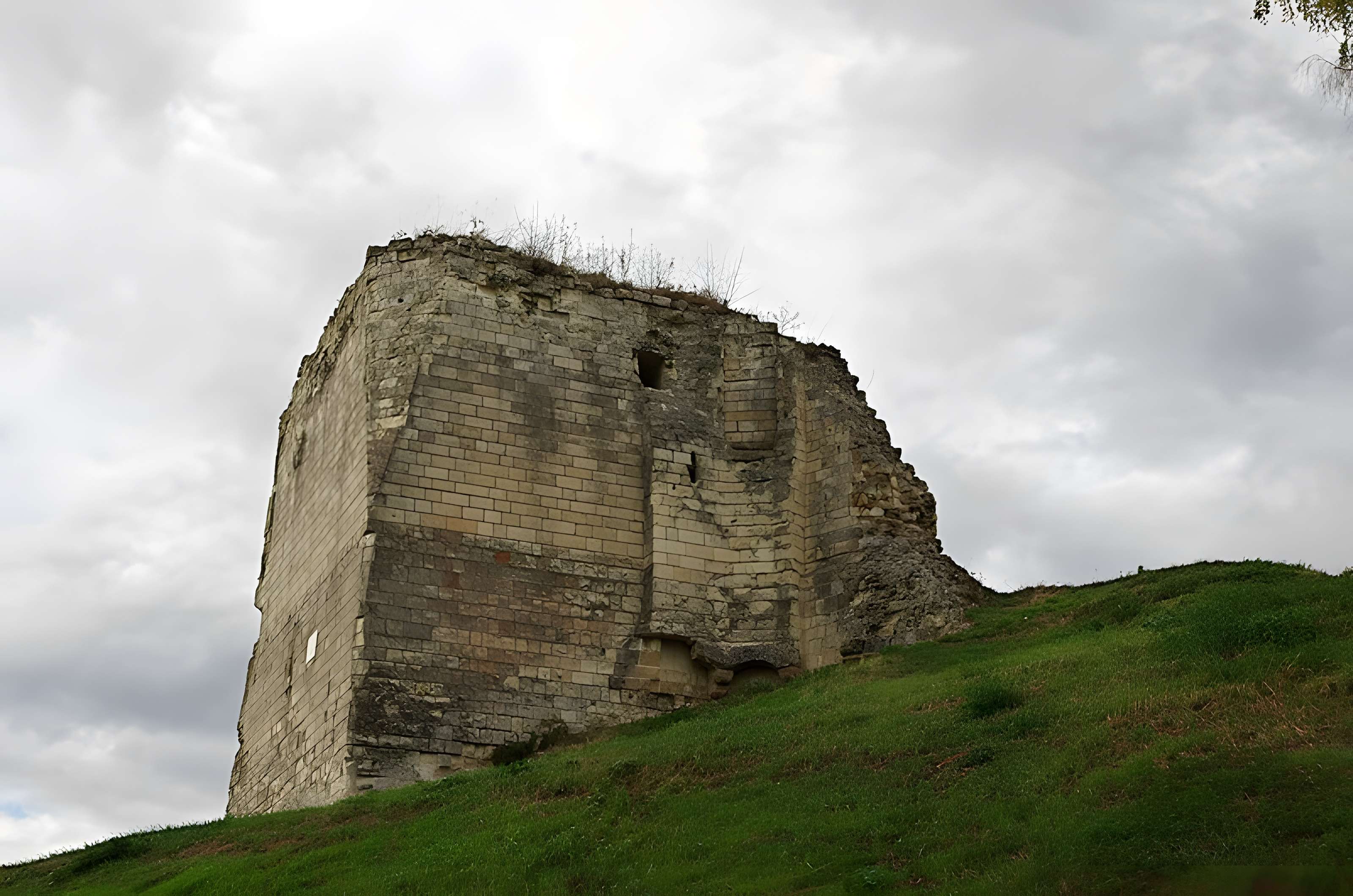 Château de Beaufort-en-Vallée (ruines)