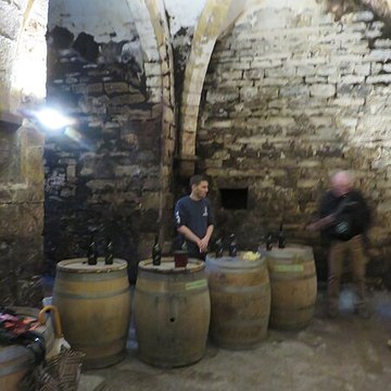 Maison des consorts Brand à Arbois