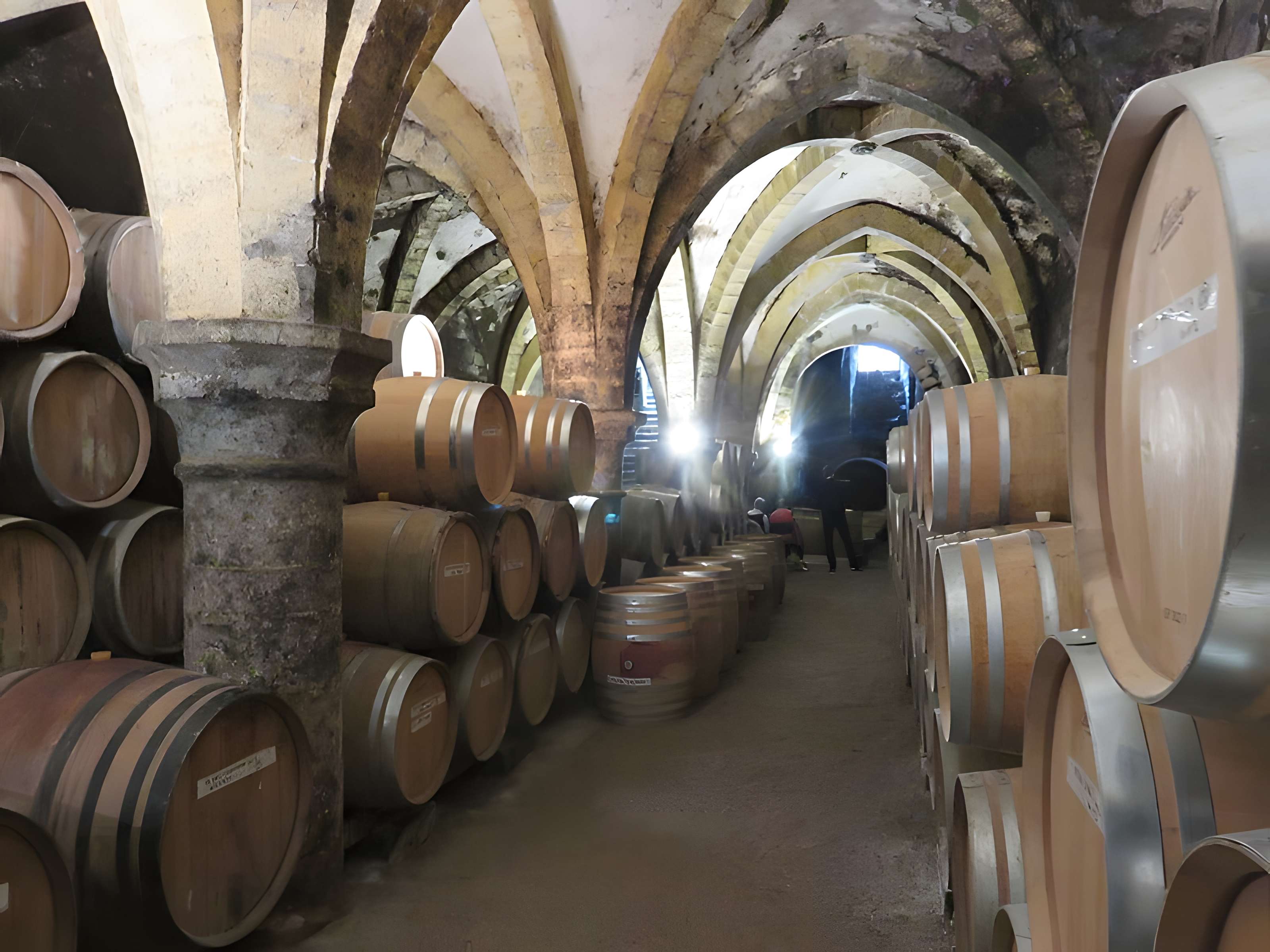 Maison des consorts Brand à Arbois