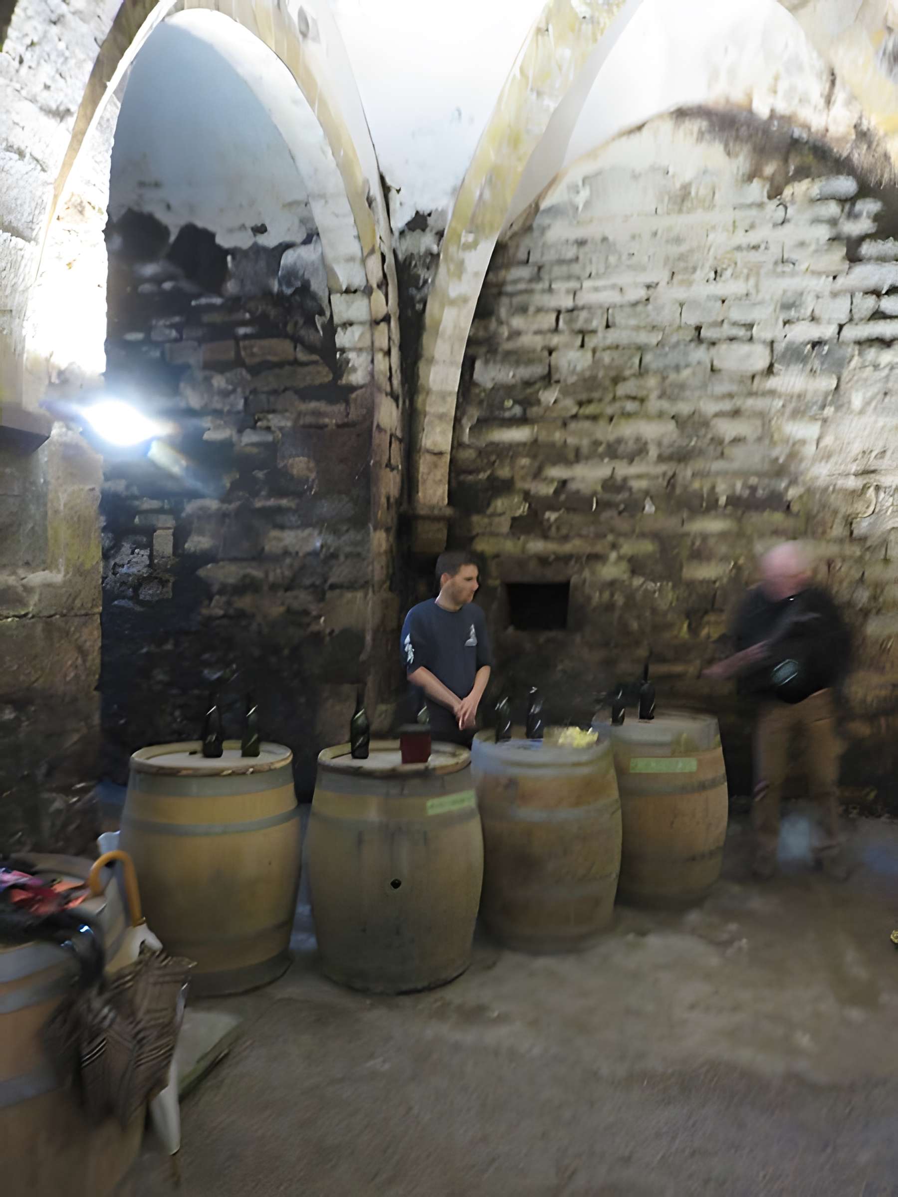 Maison des consorts Brand à Arbois