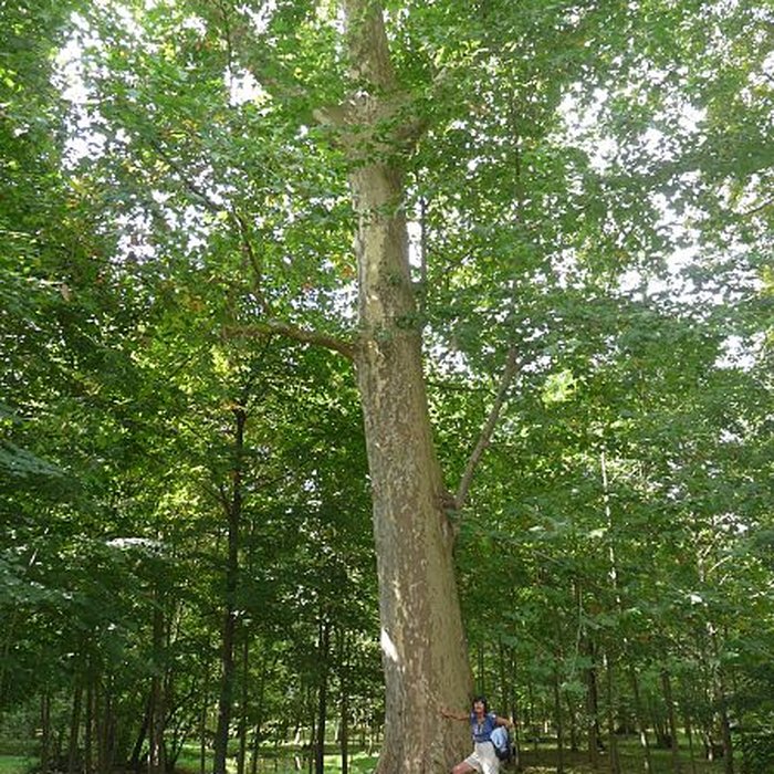 Photo de Château de Beaulon