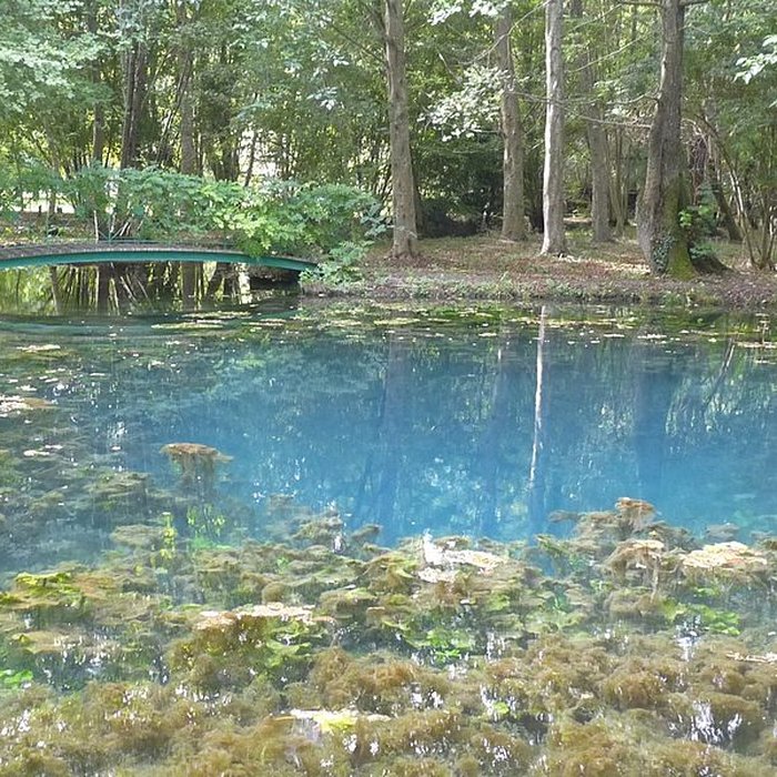 Photo de Château de Beaulon