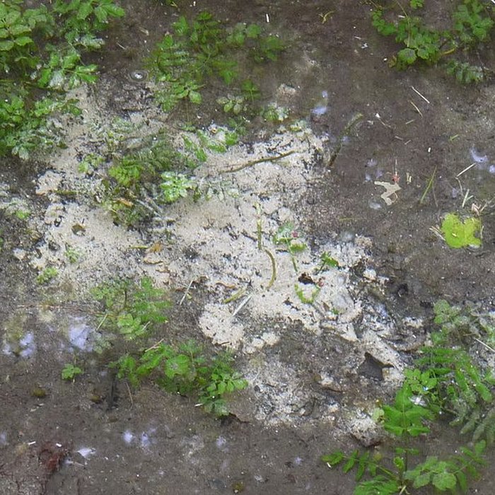 Photo de Château de Beaulon