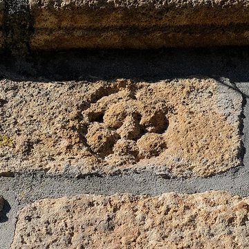 Maison des Treize Lunes à Landerneau
