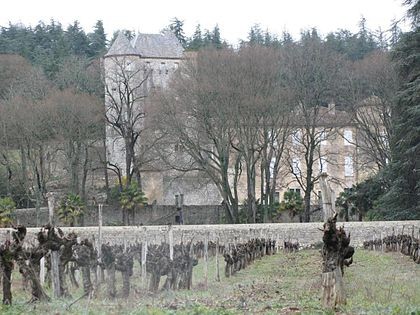 Photo de Château de Beaumefort
