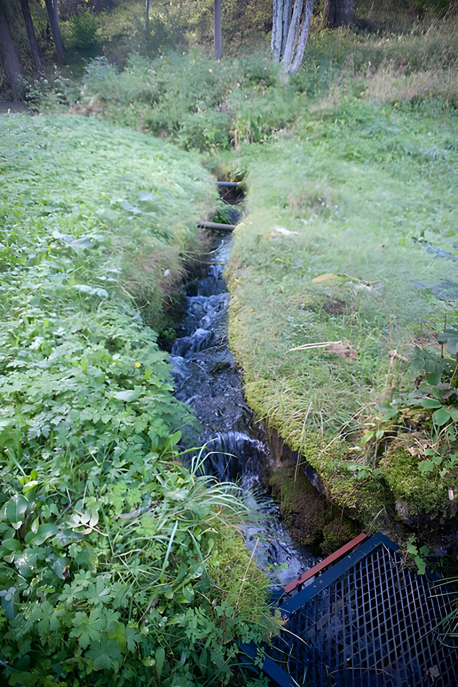 Maison dite La Clouterie à Labergement-Sainte-Marie