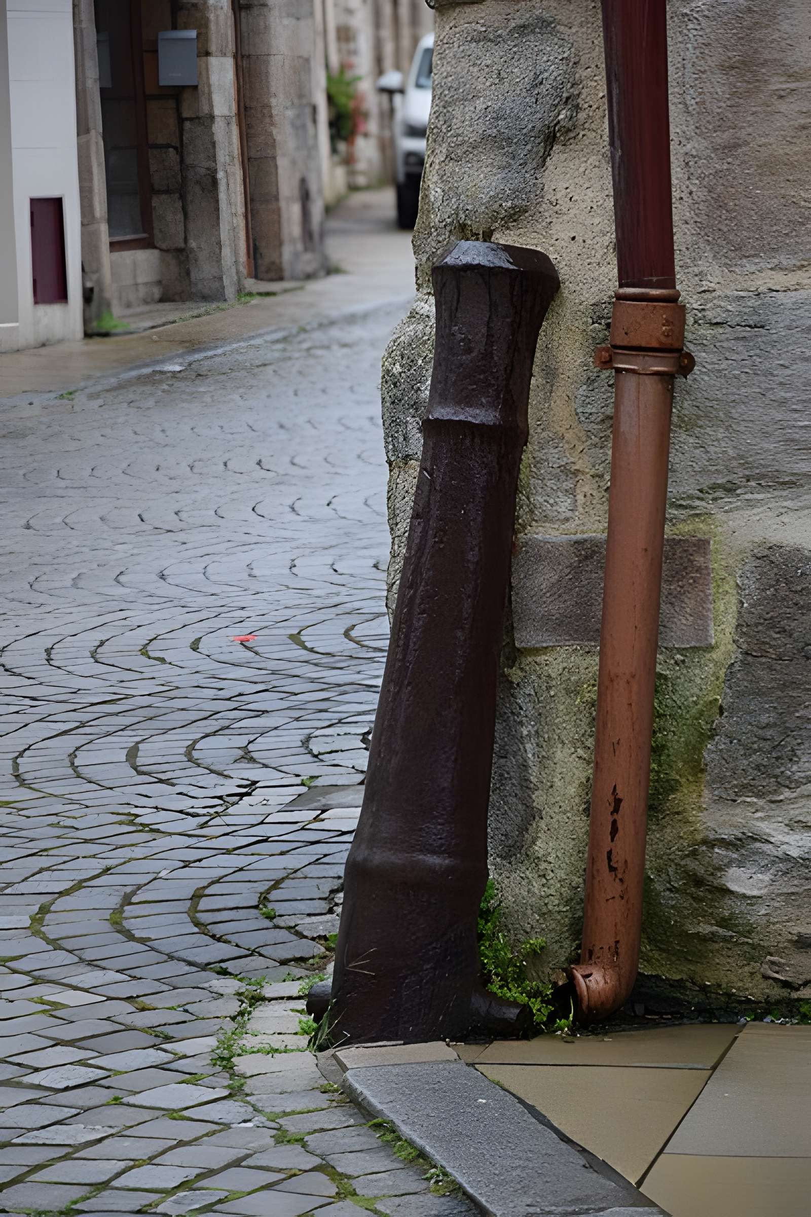 Maison du Canon à La Roche-Bernard