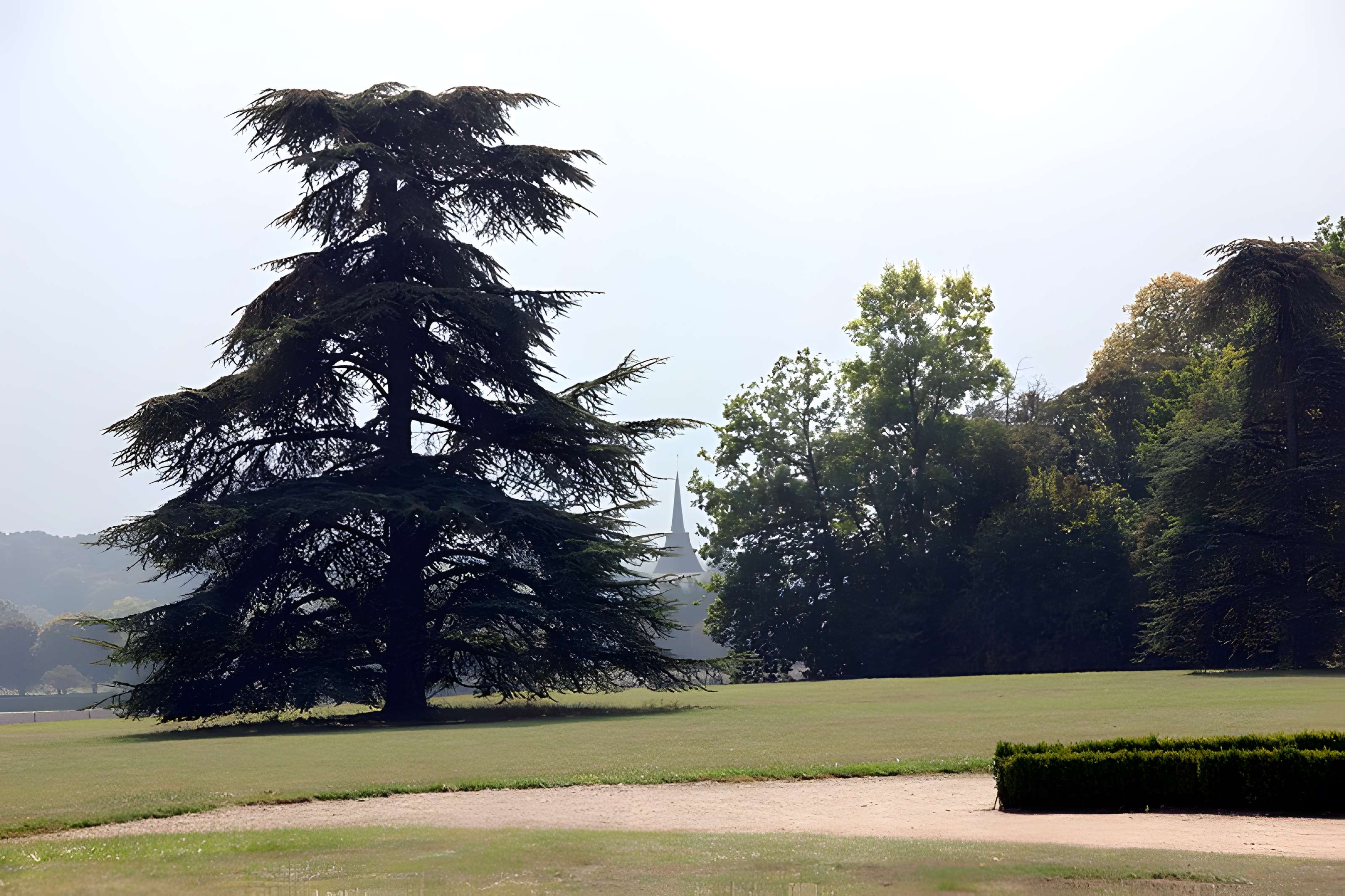 Château de Beauregard à Cellettes