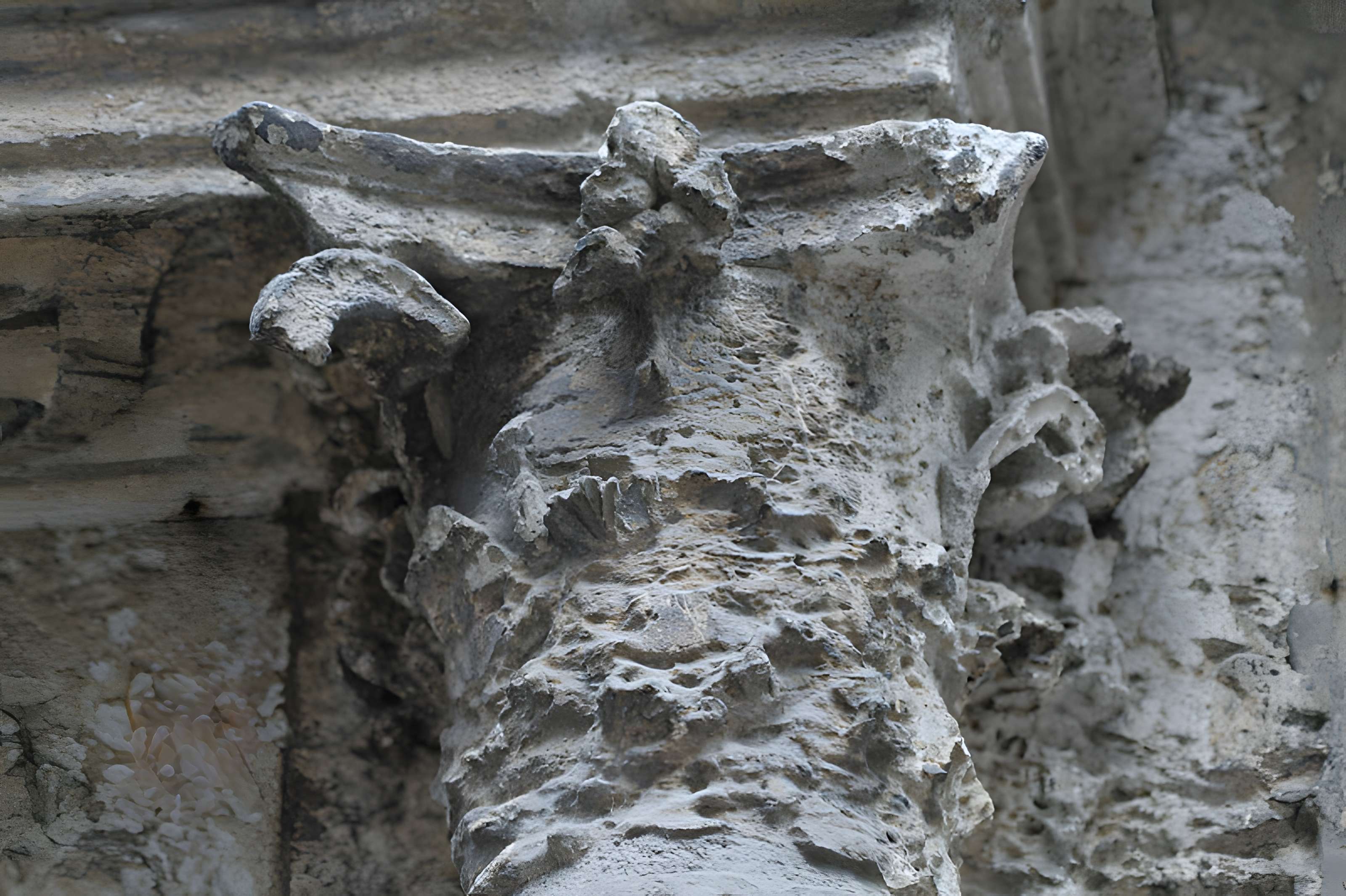 Maison du Médecin Huvé à Chartres