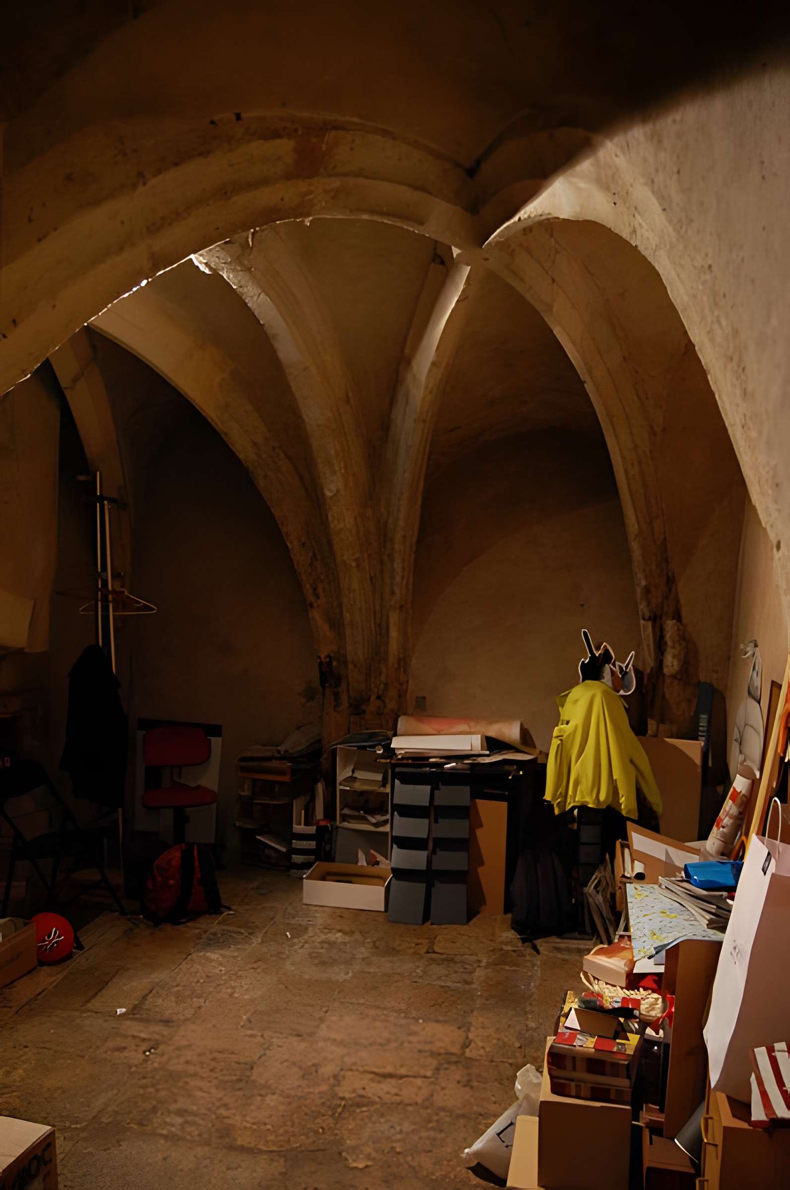 Maison du Médecin Huvé à Chartres
