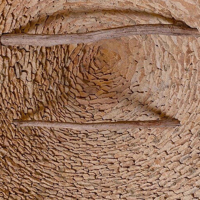 Photo de Cabanes Du Breuil de Saint-André-dAllas