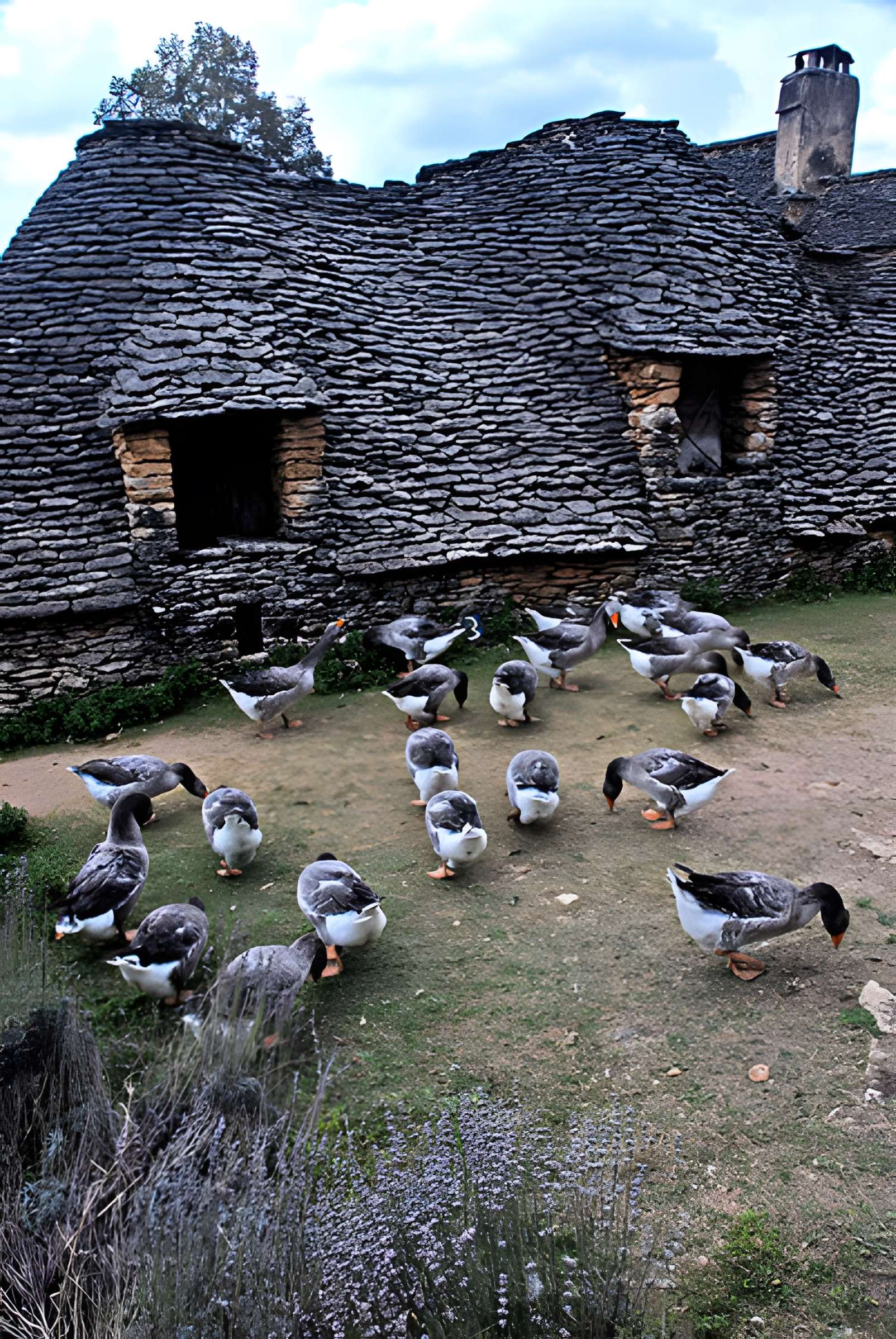 Cabanes Du Breuil de Saint-André-d'Allas