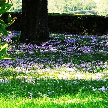 Château de Beauvais à Lussas et Nontronneau
