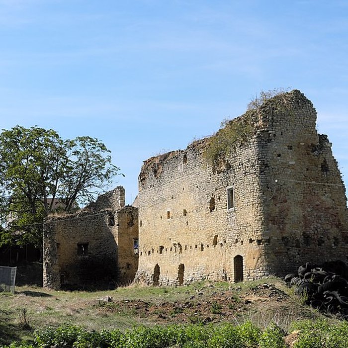 Photo de Maison forte de Thézey-Saint-Martin