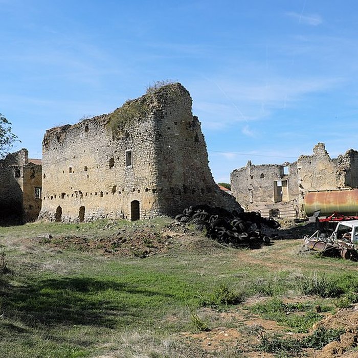 Photo de Maison forte de Thézey-Saint-Martin