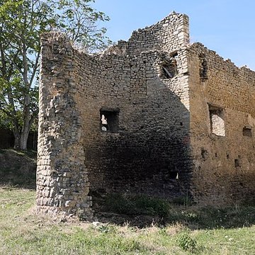 Maison forte de Thézey-Saint-Martin