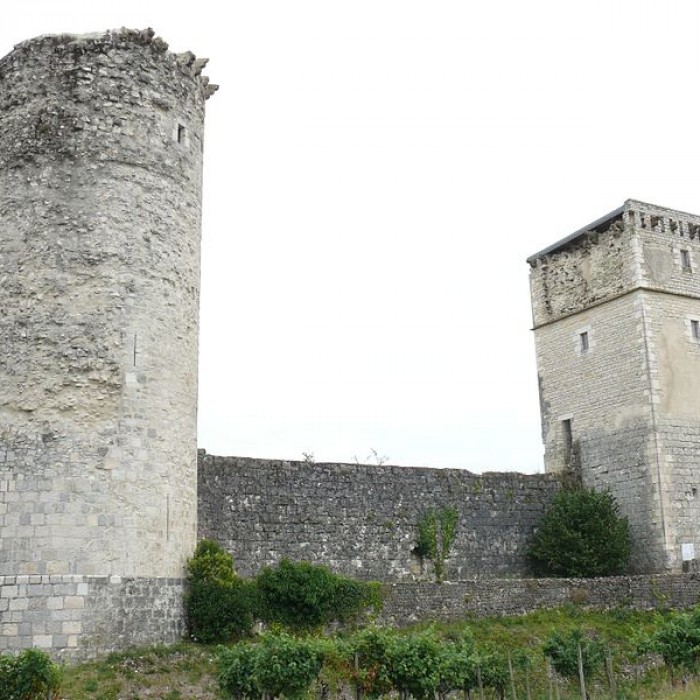 Photo de Château de Bellocq