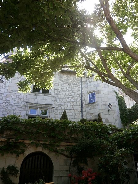 Photo de Maison Grand-Rue à Candes-Saint-Martin
