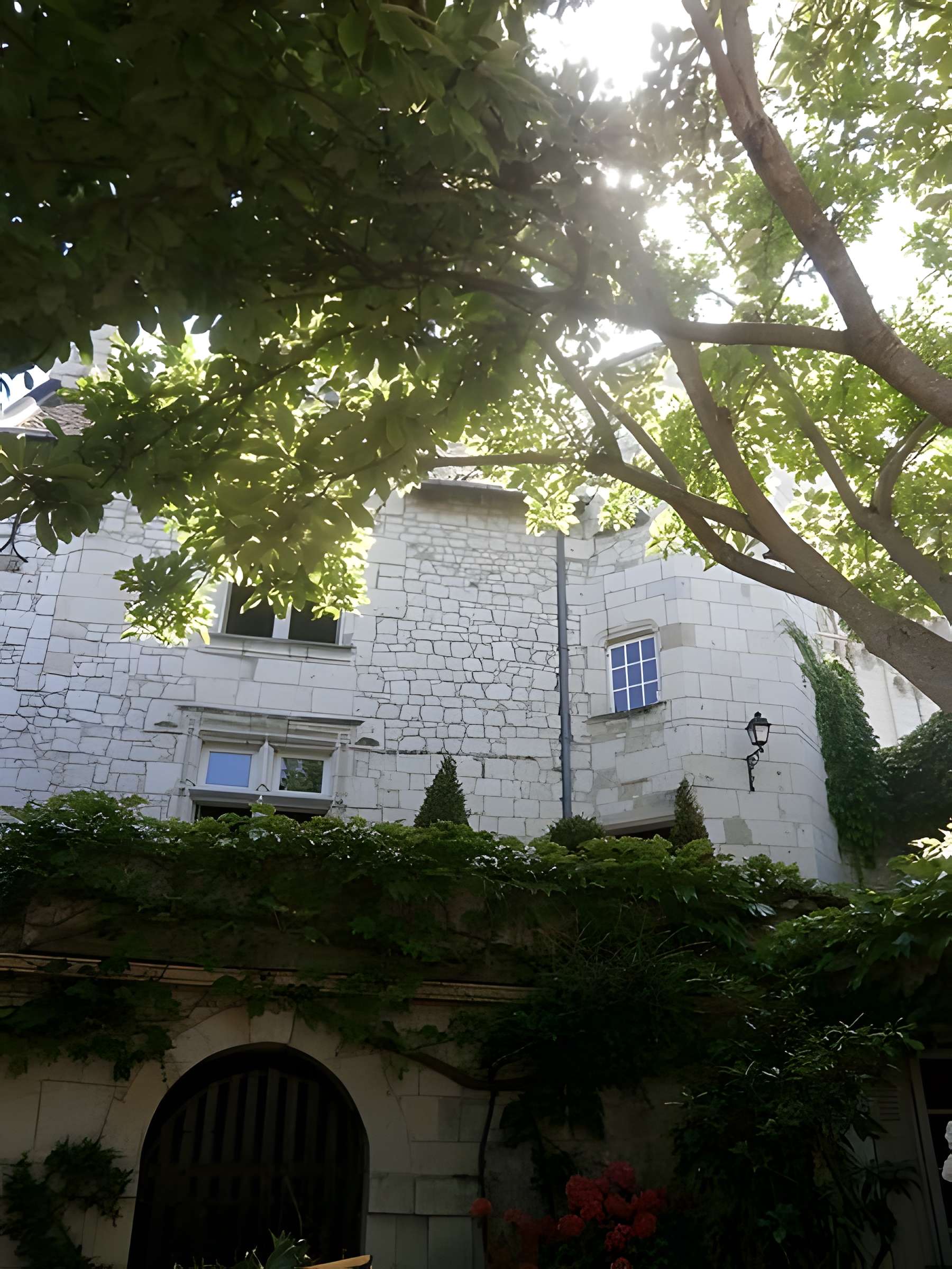 Maison Grand-Rue à Candes-Saint-Martin 